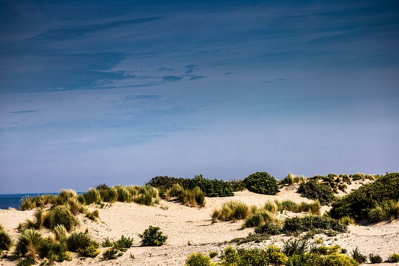 Dune Corner of Holland by Carin IJpelaar
