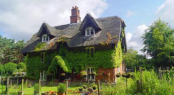 Une maison couverte de lierre en route vers le suffolk