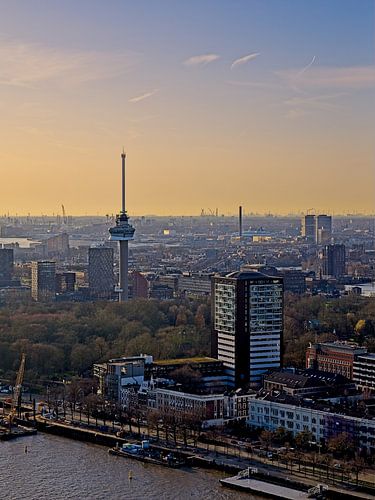 Skyline Rotterdam 2