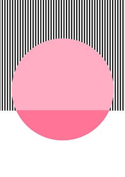 Rose mid-century sur Bainai