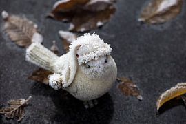 figurine of sparrow with pointed hat in the freezing cold by Peter de Kievith Fotografie