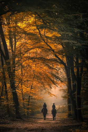 Horse power van Niels Barto