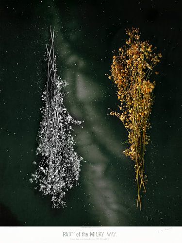 Trustfall IV