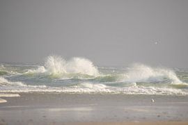 Waves in the storm by Roelinda Tip