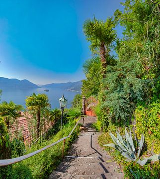 Blick auf den Lago Maggiore mit der Isola di Brissago vom Sentiero Romano aus, Ascona, Tessin Ticino von Rene van der Meer