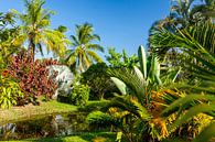 Tropischer Garten der Plantage Frederiksdorp, Surinam von Marcel Bakker Miniaturansicht