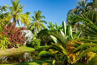 Tropical garden of plantation Frederiksdorp, Suriname