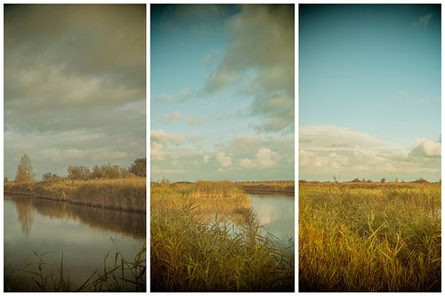 triptyque lauwersmeer 1
