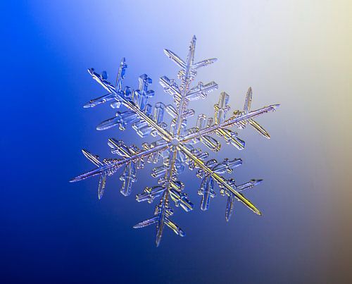 LP 70487386 Un vrai flocon de neige avec la forme classique d'une étoile à 6 côtés