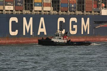 Tug Tiger in the shadow of a Container Ship. by scheepskijkerhavenfotografie
