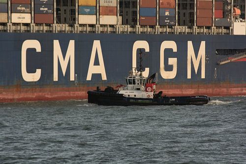 Sleepboot Tiger in de schaduw van een Containerschip.