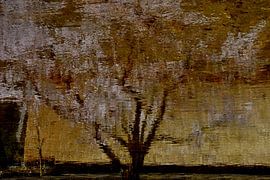 SPRING IN JAPAN 5 by Miroslav Ptacek