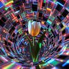 Tulp in prismatische vortex tunnel van A.D. Digital ART