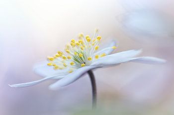 Kontrollieren Sie Ihre Träume