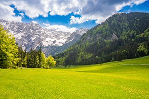 Blick auf das Alpental im Frühling
