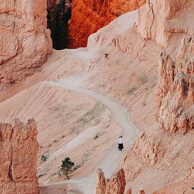 Amerika Grand Canyon in Orangetönen von studio KELBEL