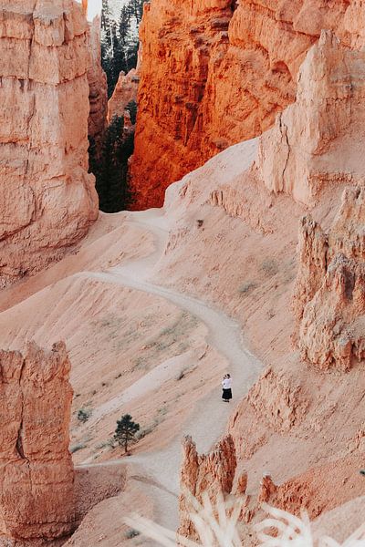 Amerika Grand Canyon in Orangetönen von studio KELBEL