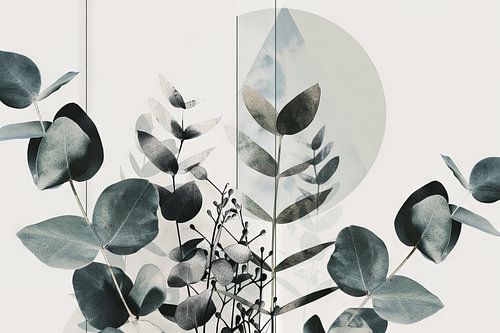 Eucalyptus & Geometrie: Organische symmetrie
