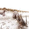 Ameland duinen in de sneeuw 04 van Everards Photography