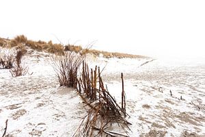 Ameland Dünen im Schnee 04 von Everards Photography