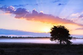 Zonsopkomst op de Kalmthoutse Heide, België