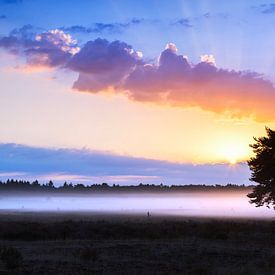 Sonnenaufgang in der Kalmthoutse Heide, Belgien von Teuni's Dreams of Reality