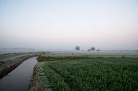 Volg het water in de mist