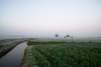 Volg het water in de mist