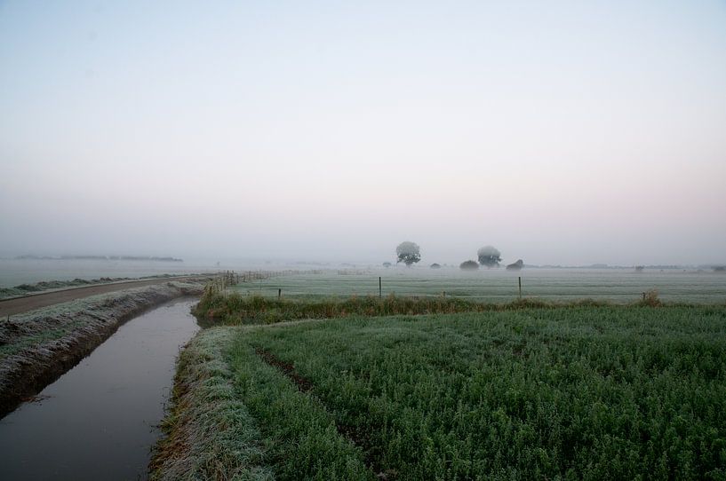 Volg het water in de mist par Geert Jan Klinkhamer