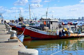 Schön aufgereiht von Frank's Awesome Travels