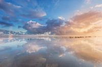 Wad Mirrors