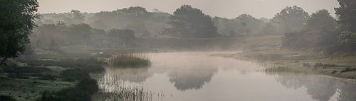 morning dew panorama