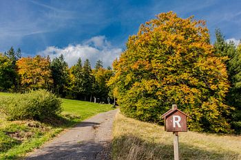 Herbstwanderung durch den Thüringer Wald