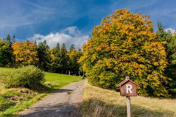 Randonnée automnale à travers la forêt de Thuringe sur Oliver Hlavaty