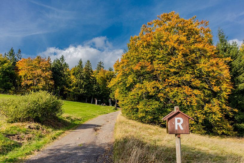 Randonnée automnale à travers la forêt de Thuringe par Oliver Hlavaty