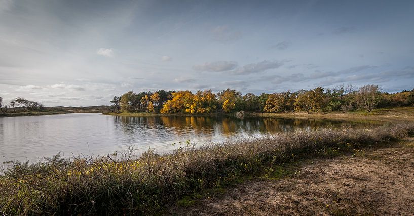 Bos aan het water by Arno dreef