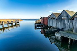 Hafen Ahrenshoop von Peter Schickert