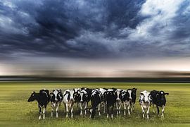 Bevor die Sturmböe ausbricht von Marianne Binnenmars