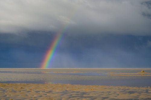 Regenboog op het strand van Texel in de Waddenzee