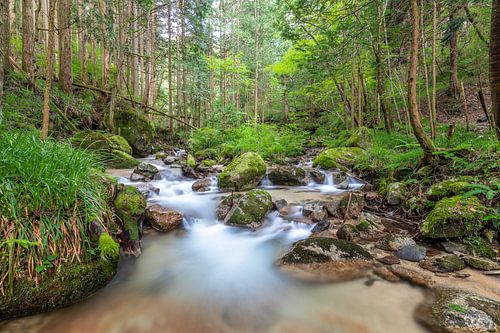 Hidden Waterfalls