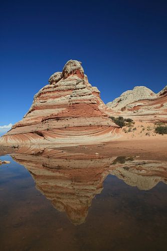 White Pocket, Vermilion Cliffs National Monument, Arizona