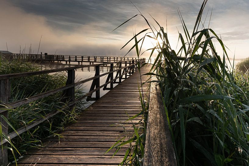 Sunrise by Julia Schellig