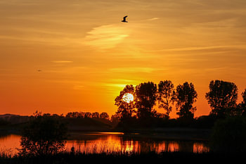 Silence before nightfall