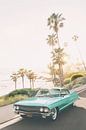 Malibu Classic by Kathrin Pienaar thumbnail