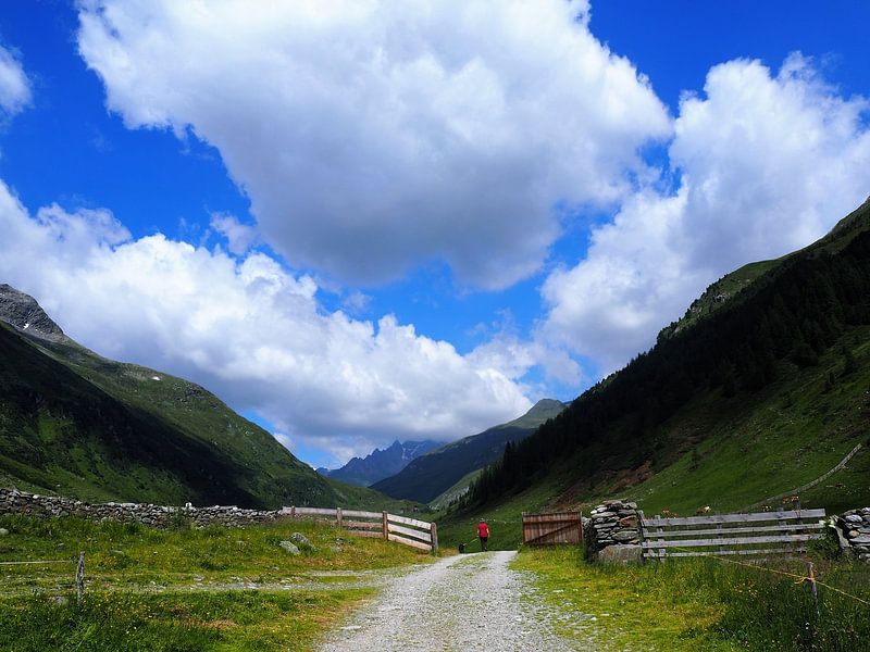 Tor öffnen von @Unique