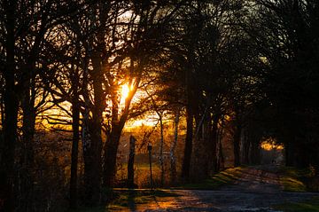 een kleurrijke zonsondergang tussen de velden en de bomen van Matthias Korn