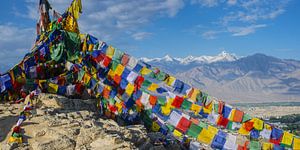 Stok Kangri sur Walter G. Allgöwer