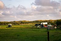Agrarlandschaft auf Ameland
