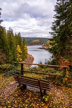 Herbstliche Wanderung rund um die Ohratalsperre bei Luisenthal  - Thüringer Wald von Oliver Hlavaty