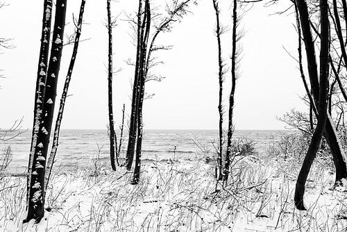 Winter trip to the sea